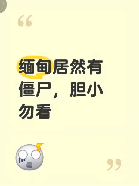 《缅甸僵尸出土事件》高清无删减在线观看 - 缅北神秘事件真相全程录像揭秘视频完整版免费播放