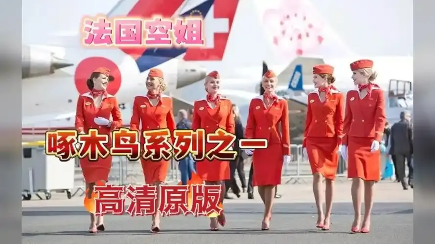 《法国空姐4》高清资源下载-法国空姐4免费完整版在线观看-法国空姐全系列无卡顿播放