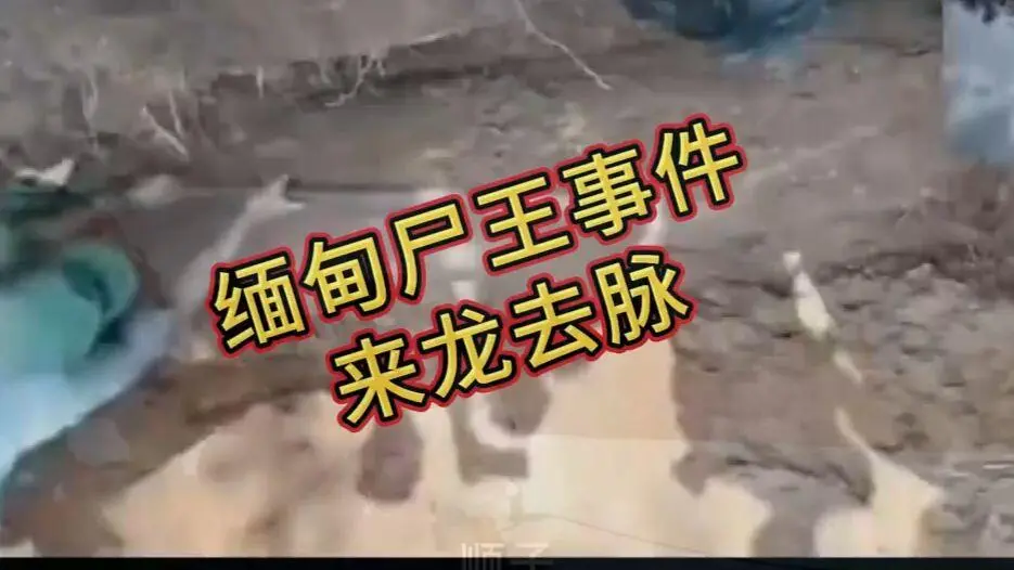 《缅甸僵尸出土事件视频》完整版资源下载-缅北僵尸出土事件始末原视频高清无删减全程录像在线观看